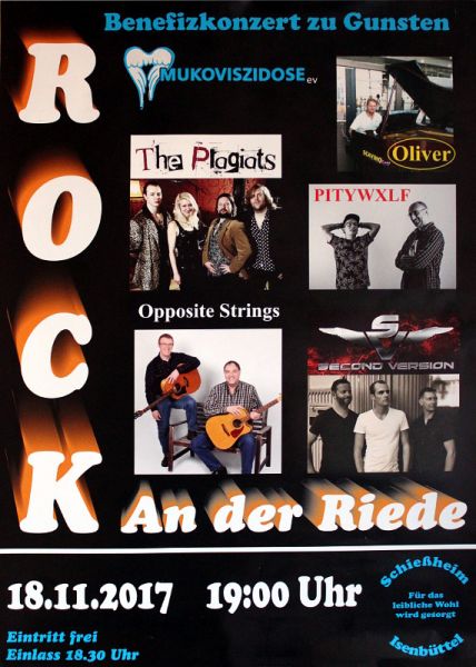 Plakat Rock an der Riede 2017